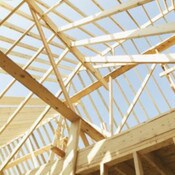 Pine Framing 90 x 45 MGP12 H2